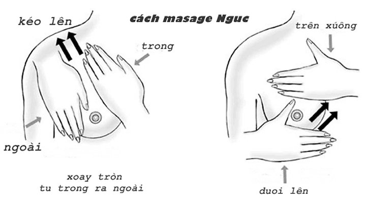 cach-massage-bam-huyet-giup-vong-1-nay-no-4