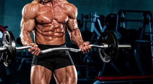 Hướng dẫn cách siết cơ giảm mỡ giúp giảm lượng calo tiêu thụ