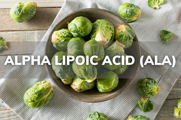 Những điều cần biết về Alpha Lipoic acid